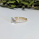 Classic Solitaire with Pave Diamond Shank