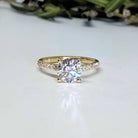 Classic Solitaire with Pave Diamond Shank