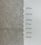 Platinum and 3.03 CT Diamond Studs