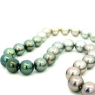 Multicolored pearl necklace on a white background