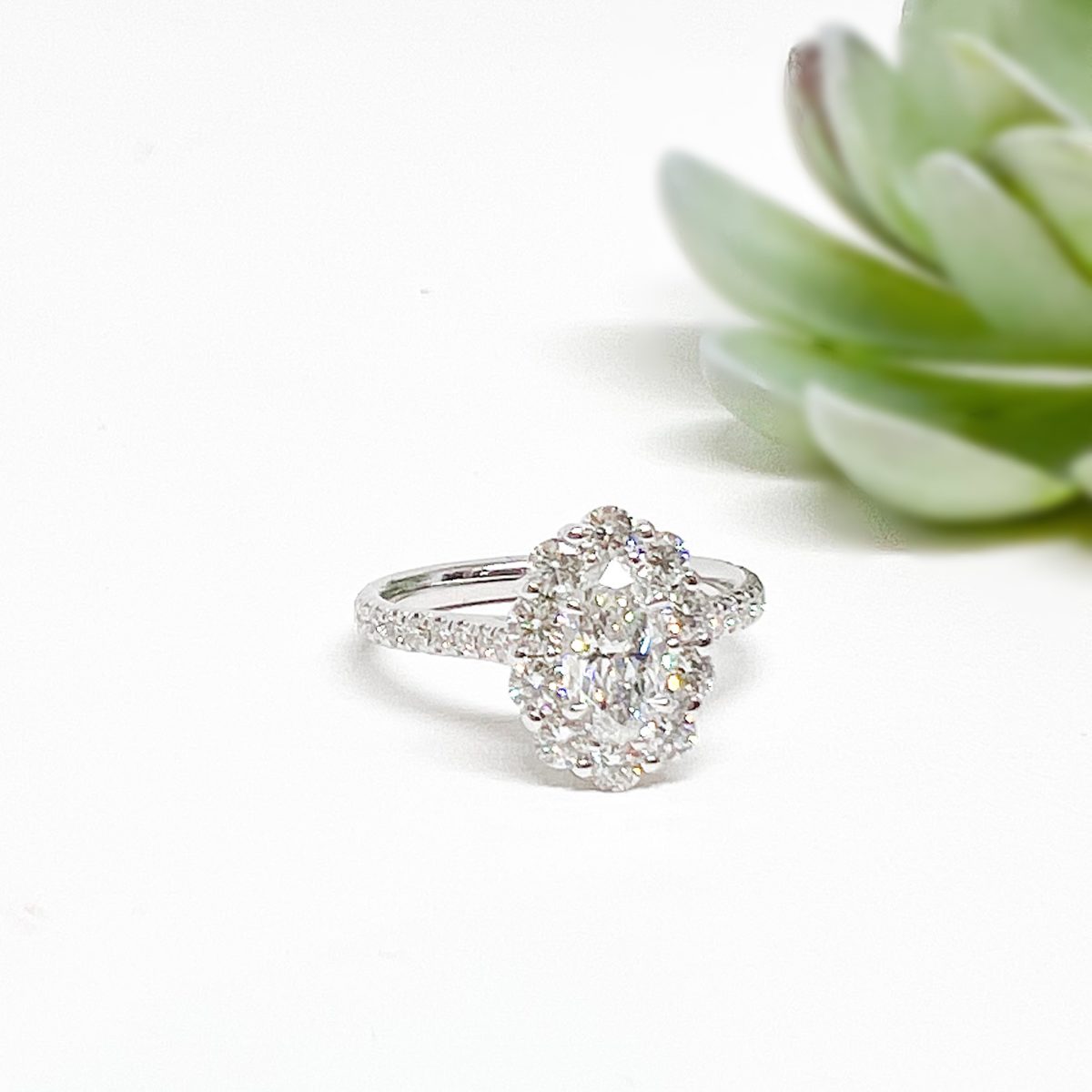 White Gold and Oval Diamond Halo