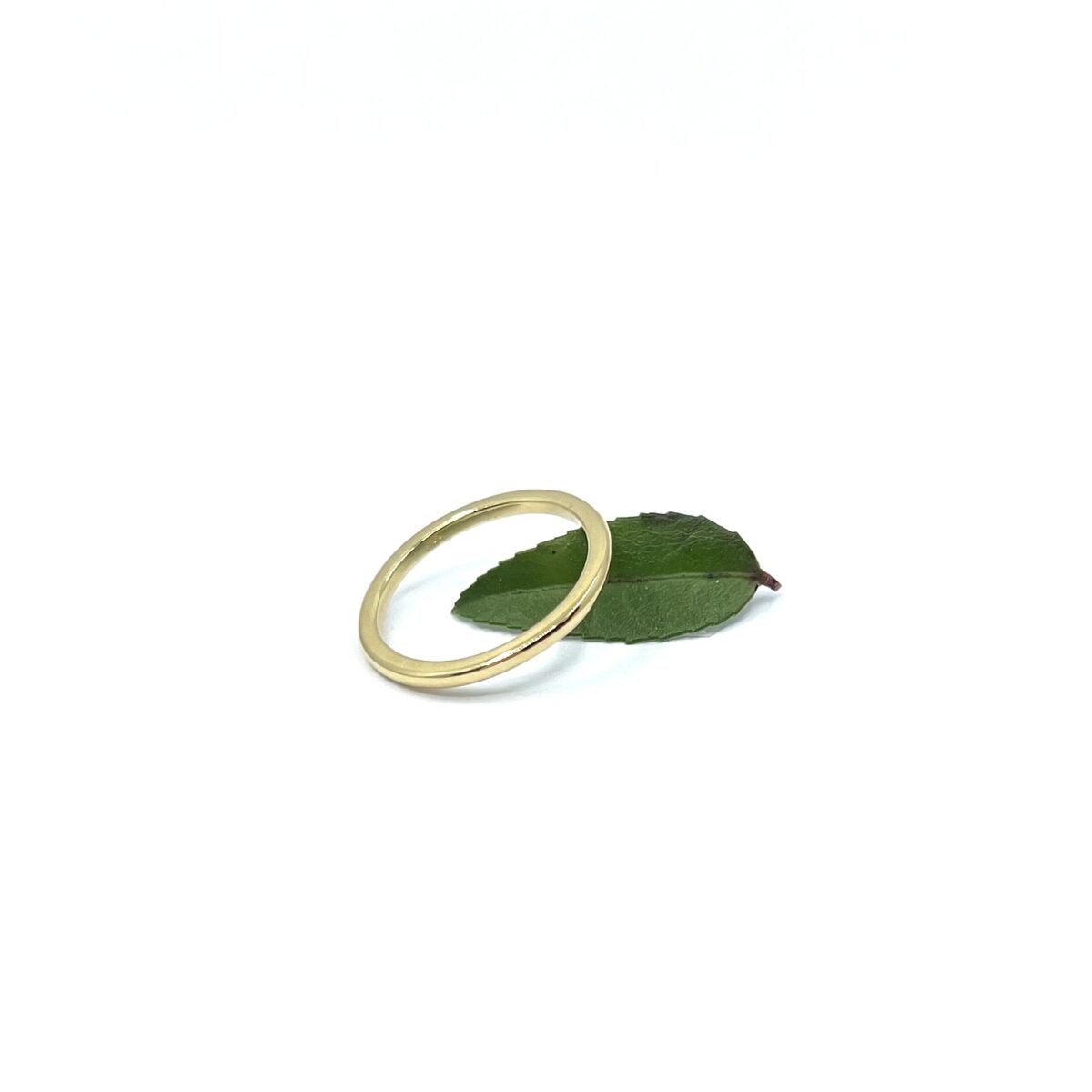 2mm Yellow Gold Band